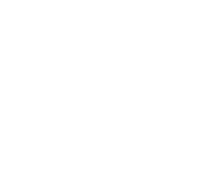 LOGO VAZENTICA BLANCO